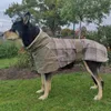 Abbigliamento per cani Pile caldo Abbigliamento invernale per cani di grossa taglia Giacca per animali con stampa scozzese alla moda con cintura per cani di taglia media Abbigliamento levriero Weimaraner 231205