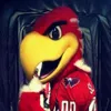Disfraz de mascota de águila roja personalizado, disfraz de Carnaval elegante de tamaño adulto 249F