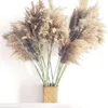 Kerstdecoraties 30 stuks Crème Pampas Gras Pluizige Kamer Phragmites Decoratie Natuurlijke Bunny Staart Gedroogde Bloemen Boeket Boho Home Decor 231205