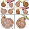 Luckets Lucky 2Pcs /Lot Christmas 925sterling Sier Simple Design Restore طرق قديمة Ammonite Fossil Pendant for Lady Gift 31x41 Dhne0