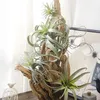 Julekorationer 4pack konstgjorda ananasgräs luftväxter falska blommor faux flocking tillandsia bromeliader hem trädgård dekor 231205