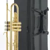 Yeni Fosfor Bronz Altın Kaplamalı B-Flat Profesyonel Trompet Aleti Yüzey Gümüş Kaplamalı Üç Tonlu BB Trompet Boynuzu