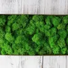 Décorations de Noël 200gbag plantes vertes artificielles immortelles fausses fleurs mousse herbe maison jardin décoratif mur bricolage accessoires 231205