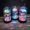 Souhaitant fille galaxie rose en flacon LED fleurs clignotantes dans un dôme de verre pour la décoration de mariage cadeau de la Saint-Valentin avec cadeau Bo2583