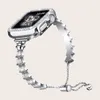 Geschikt voor Apple metalen horlogeband Applewatch roestvrijstalen kroon iWatch Diamond Set 1e tot 8e generatie universele horlogeband