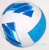 Custom Colorful Hine Ed Outdoor PVC PU TPU Size Football Soccer Balls for Match Training