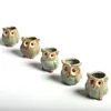 5 datorer Set Creative Ceramic Owl Shape Flower Pots Planter Desk Söt design Succulent Y2007232448