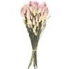 15pcs Natural Dried Wedding Flower Pink Christmas Valentine's Day Gift Wedding Touch Decor Gift Bouquet Y1128274l