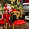 Vestuário de cão inverno roupas para animais de estimação Papai Noel cão traje festivo animal de estimação traje de Natal Papai Noel montando em fita adesiva quente xadrez para cães 231205