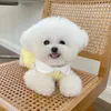 Vêtements pour chiens Chat d'hiver Petite robe Costume de chiot Yorkshire Terrier Poméranie Shih Tzu Caniche maltais Bichon Vêtements pour animaux de compagnie Manteau chaud