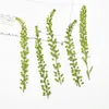 Dekoratif Çiçekler 60 PCS Preslenmiş kurutulmuş lepidyum apetalum çiçek bitkileri epoksi reçine kolye kolye takı yapmak zanaat diy aksesuarları