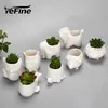 Yefine Creative Ceramic Flowerpot Planter Bonsai Garden Pots Planters Jardin Bonsaiデスク