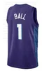 Hombres Jóvenes Niños 5 LaMelo Ball City Basketball Jersey Brandon Miller Terry Rozier Gordon Hayward Teal Purple White Jersey 2023 2024