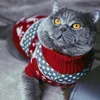 犬のアパレルクリスマス子犬セーター冬の暖かい服のための小さな犬の衣装コスチュームチワワのコート編み物かぎ針編み服