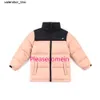 Nieuwe Designer North pufferjack Winter kinderjas Jongens Meisjes Kinderdonsjack Heren Dames Verdikte warme parka Familie donsjack