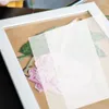 Dekorativa blommor bladpressning pappersprov brädor blommor blotter diy material vatten absorberande foder fyllning på en beslag