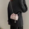 Kvällspåsar Luxury Purple Shoulder Bag For Women Brand Designer Quilted Cotton Space Handväska och handväska Bucket Crossbody Bag Mini 231205