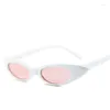 Zonnebril Tiny Oval Shades Dames Vintage Dames Cat Eye Zonnebril met klein frame voor De Sol FASHION