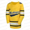 Michigan Custom Hockey Jersey 19 Adam Fantilli 13 T.J.Хьюз Макки Самоскевич 43 Люк Хьюз 25 Дилан Рутгер МакГроарти Любой Нам