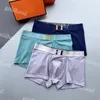 Boxers de luxe pour hommes, sous-vêtements imprimés avec lettres de styliste, slips sexy pour hommes, 3 pièces/boîte