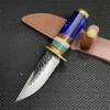 Coltello da tasca con manico in resina forgiato di alta qualità Mini coltello da tasca Coltello da combattimento tattico multifunzione EDC da campeggio di sopravvivenza all'aperto, regalo di Natale