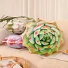 Coussin/décoratif 3D succulentes Cactus jet décoratif pour les amoureux verts mignon en peluche feuille succulente pour canapé nouveauté coussin