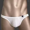 Underpants Sexy Men Underwear Bulge Pouch Breifs Low Waist Comfort Panties Sheer G-string Thong Micromini Bikini Knickers