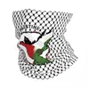 sciarpa del collo palestinese