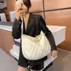 Evening Bags Women Winter Handbag Purses Space Pad Cotton Crossbody Bag Female Pure Color Cotton Padded Quilted Large Ladies Crossbody Bags 231205
