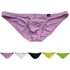 Underpants Sexy Men Underwear Bulge Pouch Breifs Low Waist Comfort Panties Sheer G-string Thong Micromini Bikini Knickers