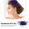 Bandanas Crown Hair Clip Hat Mesh pannband 50S huvudbonad bröllopsfest huvudbonad blomma net brud