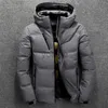 Herr ner parkas vinter män varm jacka kappa stativ krage tjock vit anka jacka mode mäns huva down jacka outwear hane outwear j231205