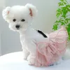 Hundkläder 1 Pet Costume Dog Spring och Autumn 1 Pet Appa Princess Dress Pink Fluffy Leather Jacket med spänne lämplig för liten och medelstor hund koppel 231206