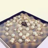 2020 European new exquisite wild camellia sweater chain highquality pearl crystal long necklace jewelry female trend highend nec1585111