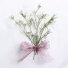 Decorative Flowers 120pcs Pressed Dried Cyclospermum Leptophyllum Herbarium For Resin Epoxy Jewelry Card Bookmark Frame Phone Case Face