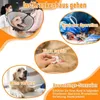Colliers de chien collier de cône de chat postopératoire pour une récupération rapide chiens de compagnie doux et confortables Post-