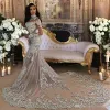 Prachtige bride 2024 Sparkly Mermaid Wedding Jurk Sexy Sheer Bling Beads Lace Applique High Neck Illusion Long Sleeve Champagne Trumpet Bridal Troags