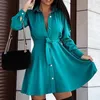 Kadın Mayo 2023 Zarif Vintage Mini Gömlek Elbise Kadın Sonbahar Uzun Kollu Ofis Bayanlar Elbiseler Sıradan Siyah Düğme Dantel Yukarı A-Line