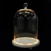 Förvaringsflaskor Växtdekorativa lampor älskare Desktop Glass Dome för handgjutning av romantisk prydnad