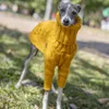 Dog Apparel Warm Autumn Pet Sweater Stylish Turtleneck Italian Greyhound Clothes Whippet Clothing 231206