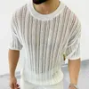 Men's Sweaters Spring Knitting Custom Tees Sweater For Men Slim Fit O-Neck Solid Hollow Mesh Man Pullover Autumn Long Sleeve Stretch Tops