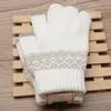 Gants chauds, gants jacquard adultes résistants au froid et épaissis, gants d'hiver tricotés pour écran tactile pour femmes en gros