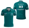 T-shirts pour hommes Polos pour hommes Aston Martin 14 Alonso Driver 2023 F1 Team Racing Sports Polo Fans Vert Sofm
