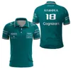 Męskie koszulki Polos Aston Martin 14 Alonso Driver 2023 F1 Team Racing Sports Polo Shirt Fani Green Sofm