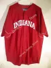 College Baseball Wears College 2022 NCAA Custom Indiana Hoosiers College Stitched Baseball Jersey 12 Alex Dickerson 42 Costa Sirounis 44 Bra