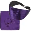 Bow -slipsar 1 uppsättning slips cummerbund med näsduk för män bröllop bankett hem