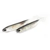 Przynęty Przynęty 5pclot wędkarstwo miękka przynęta 7 cm 75 cm 17G 23g 27G T Tail Fish Rainbow Color Sekin Swing Spinner 231207