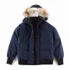 Designerkläder högsta kvalitet Kanada G01 chilliwack parkas mens kappa kvinnor ner jacka vit anka ner jackor varg real pur parka vinter outkläder jackor