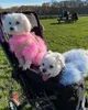 Dog Apparel Colorful Puppy Clothes Designer Dog Clothes Small Dog Cat Luxury Sweater Schnauzer Yorkie Poodle Fur Coat 231206