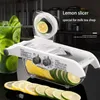 Obst Gemüse Werkzeuge Multifunktionale Zitronenreibe Slicer mit Korb Kartoffelhacker Karottenschneider Küchenzubehör 231206